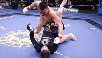 崩铁最新爆料桑搏,桑搏角色生成机制深度解析